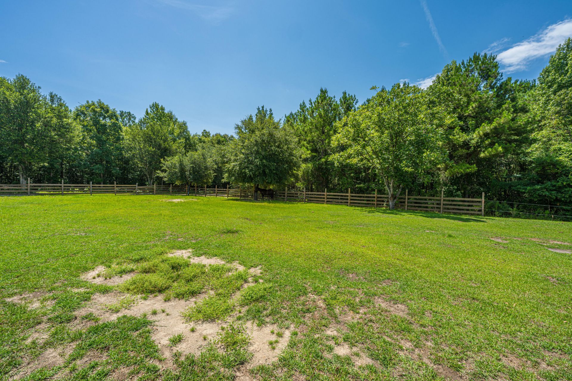 189 Cupid Court Photo 37