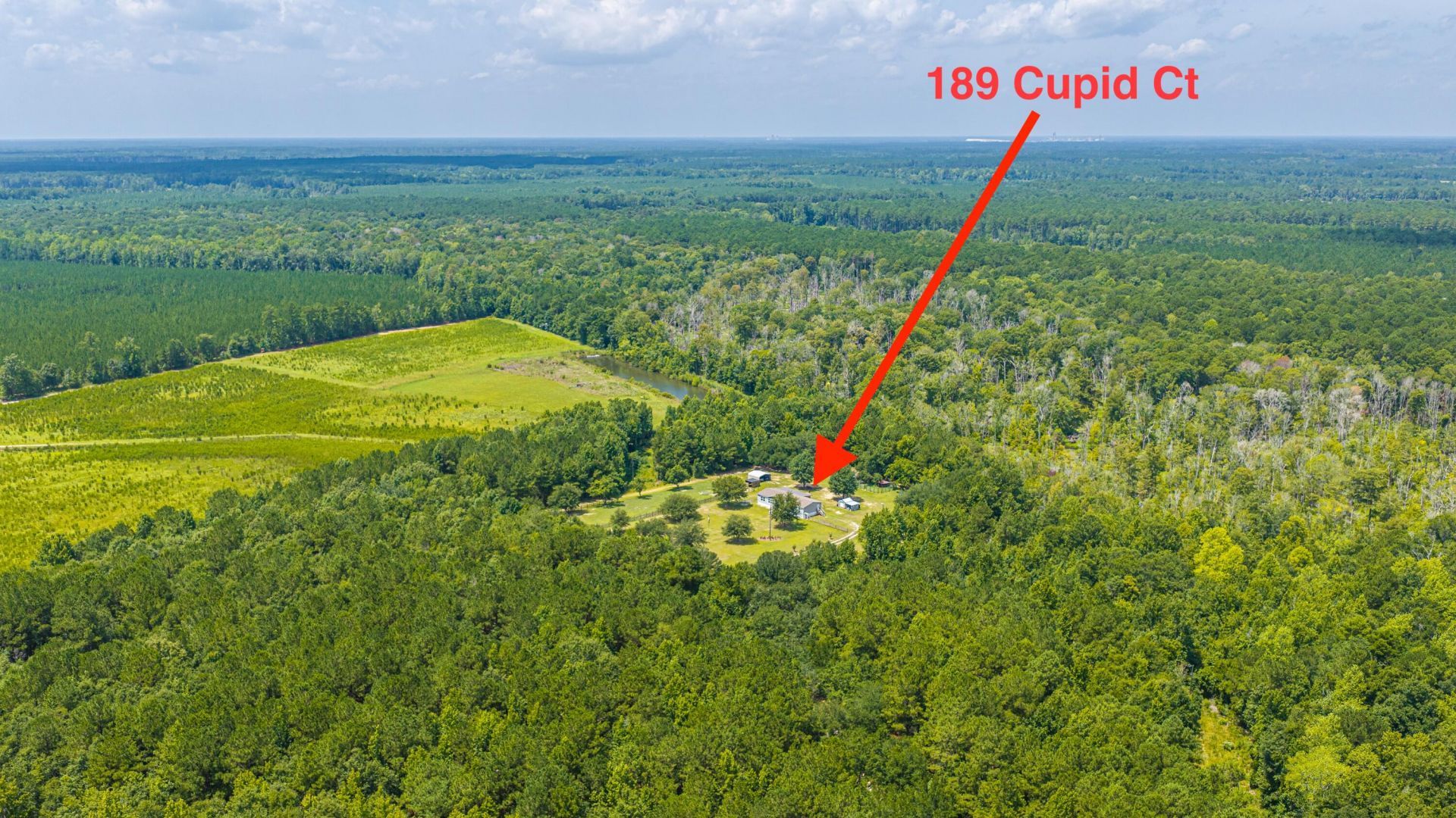 189 Cupid Court Photo 55