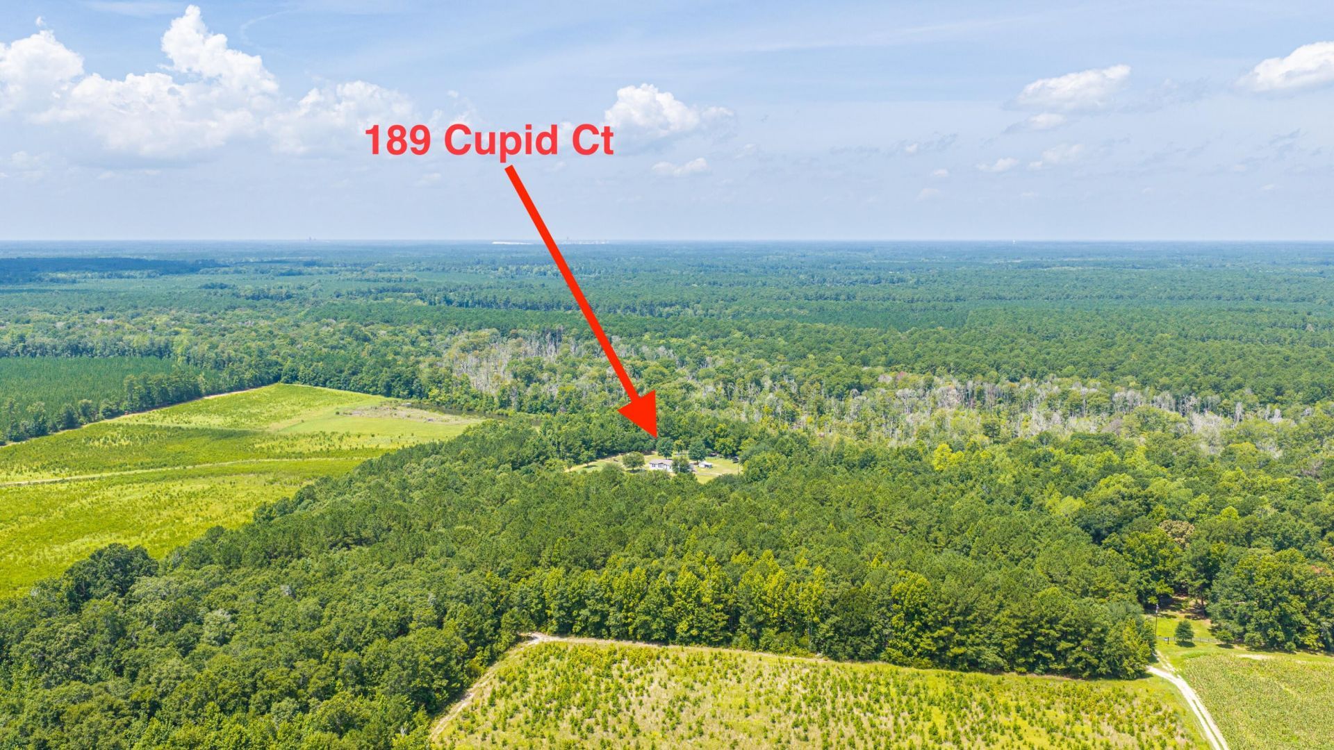 189 Cupid Court Photo 57
