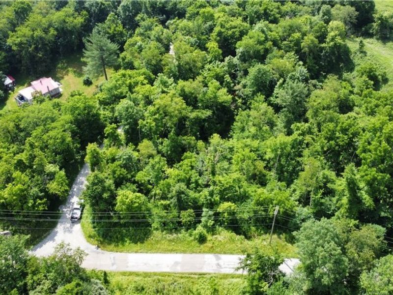 Township Road 135, Dillonvale, OH 43917 Photo 10