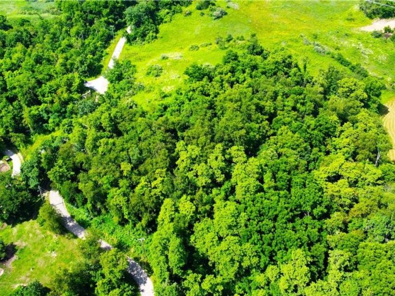 Township Road 135, Dillonvale, OH 43917 Photo 12