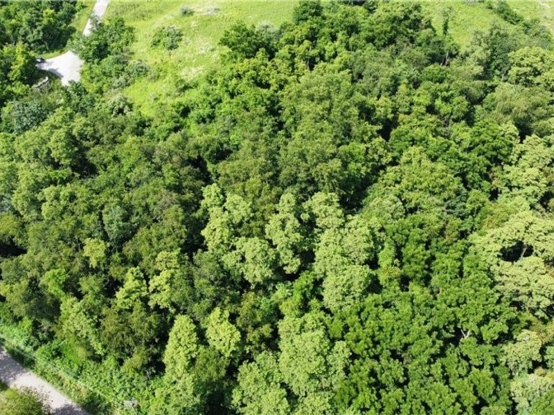 Township Road 135, Dillonvale, OH 43917 Photo 13
