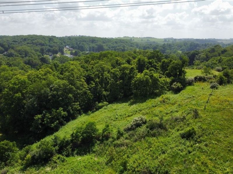 Township Road 135, Dillonvale, OH 43917 Photo 14