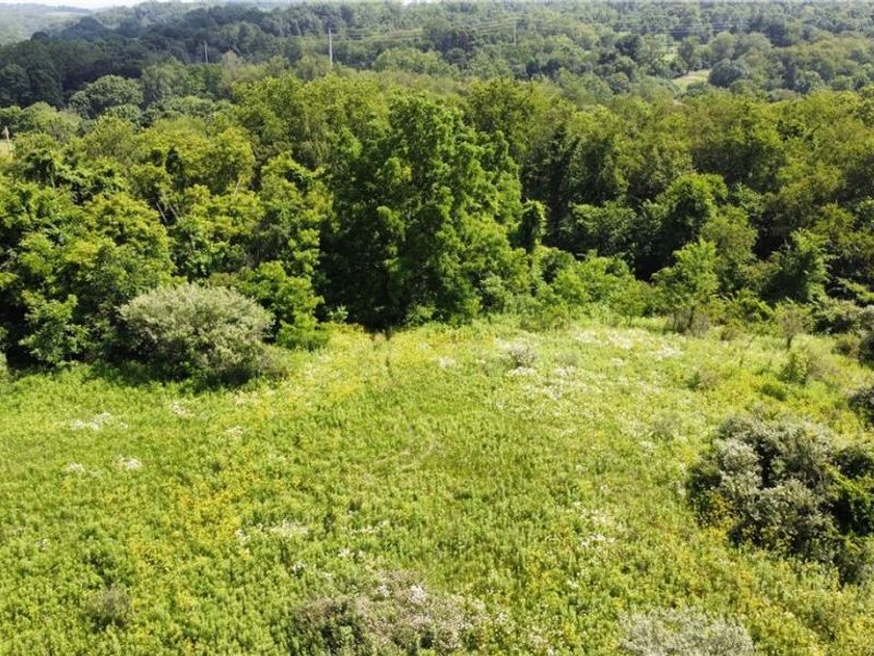 Township Road 135, Dillonvale, OH 43917 Photo 16