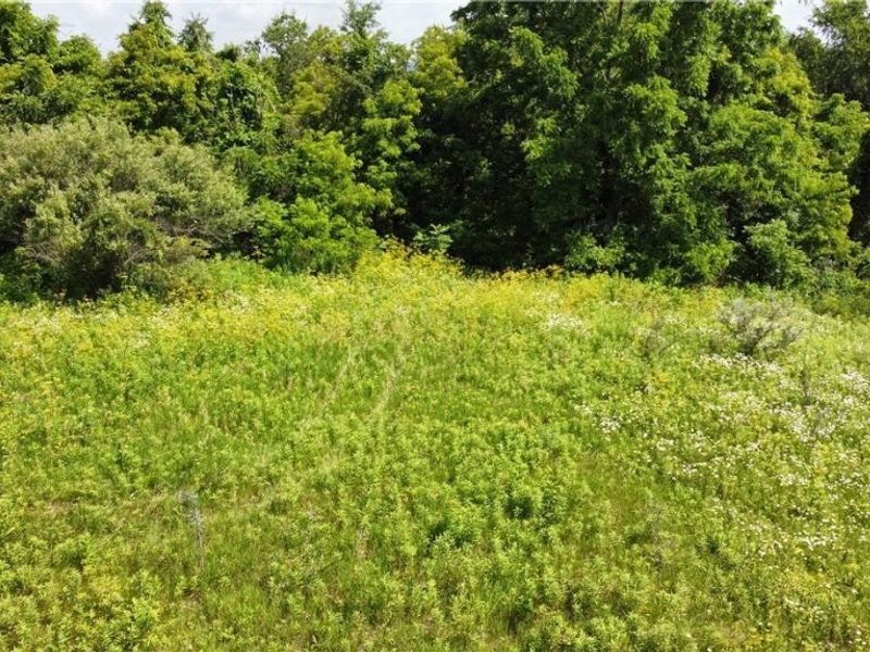 Township Road 135, Dillonvale, OH 43917 Photo 17
