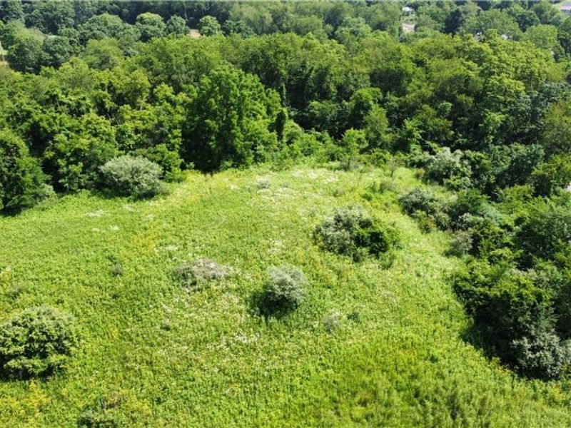 Township Road 135, Dillonvale, OH 43917 Photo 18