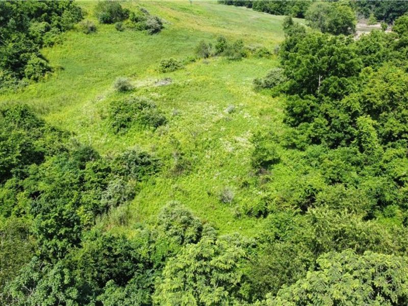 Township Road 135, Dillonvale, OH 43917 Photo 19