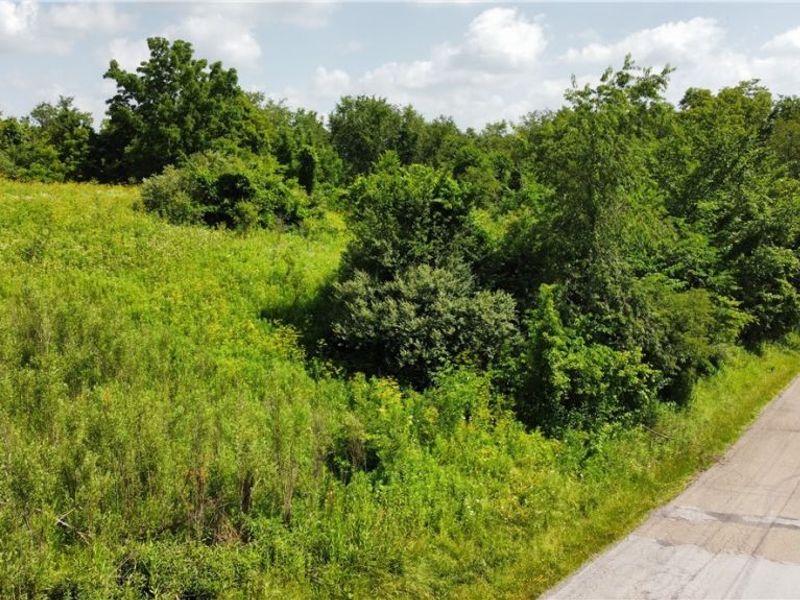 Township Road 135, Dillonvale, OH 43917 Photo 20