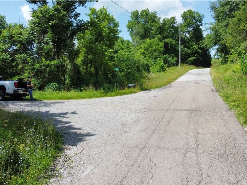 Township Road 135, Dillonvale, OH 43917 Photo 22