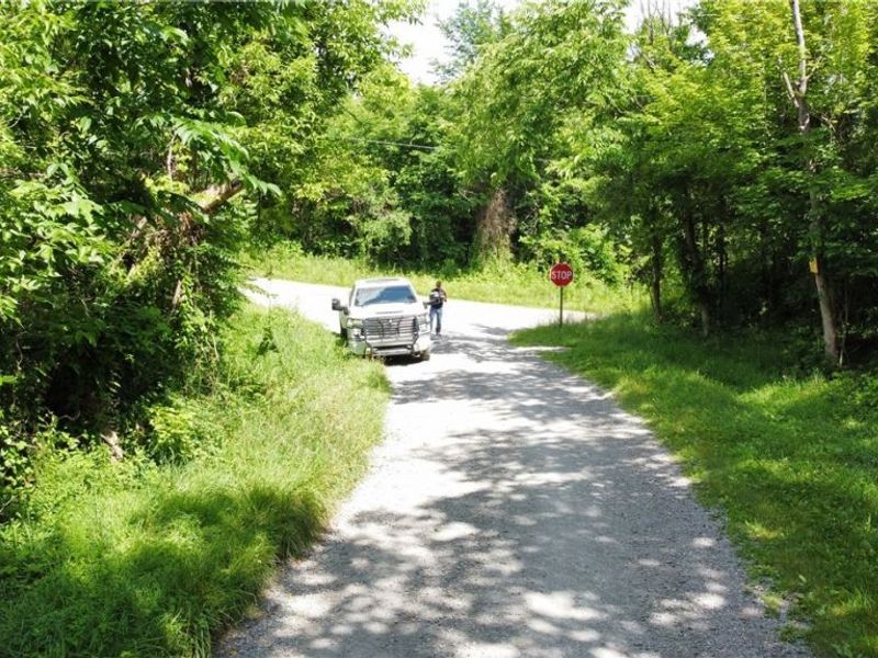 Township Road 135, Dillonvale, OH 43917 Photo 23