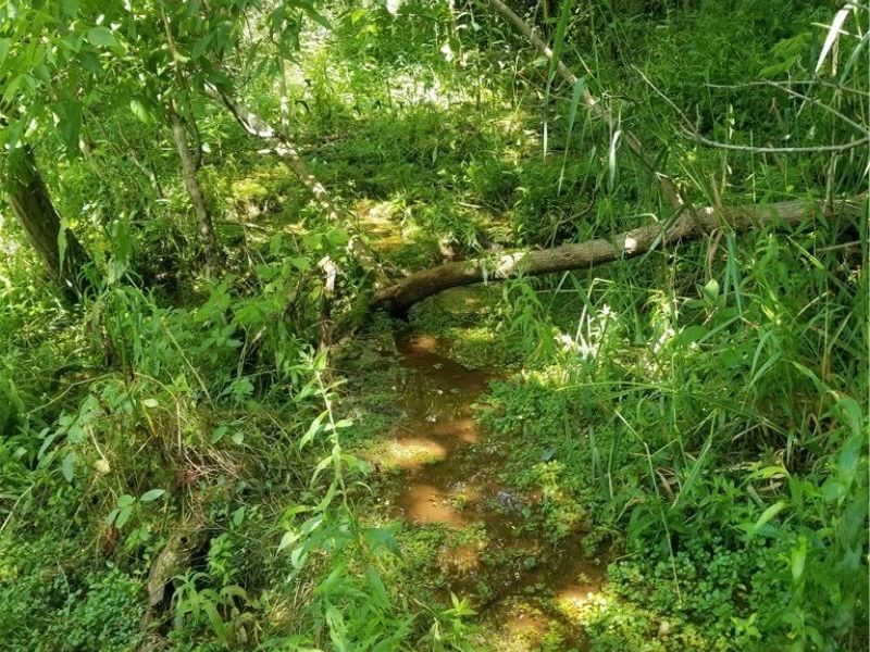 Township Road 135, Dillonvale, OH 43917 Photo 24
