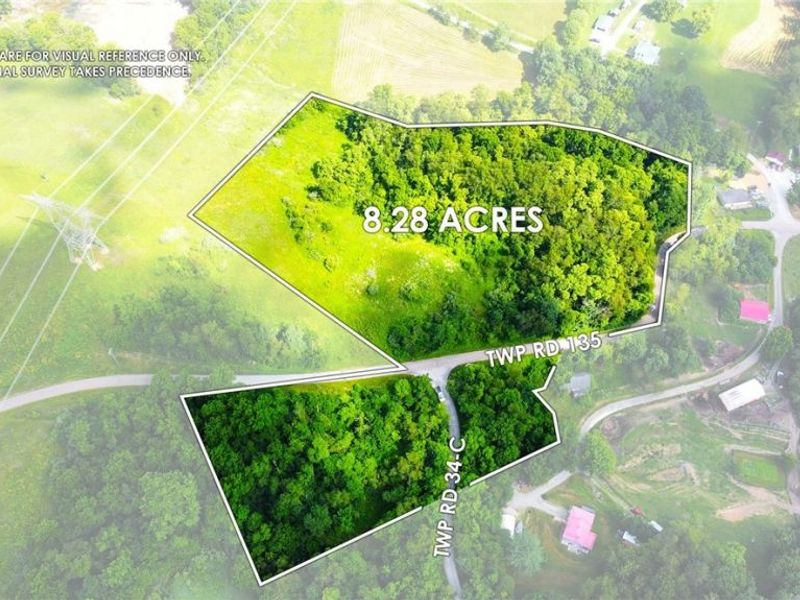 Township Road 135, Dillonvale, OH 43917 Photo 3