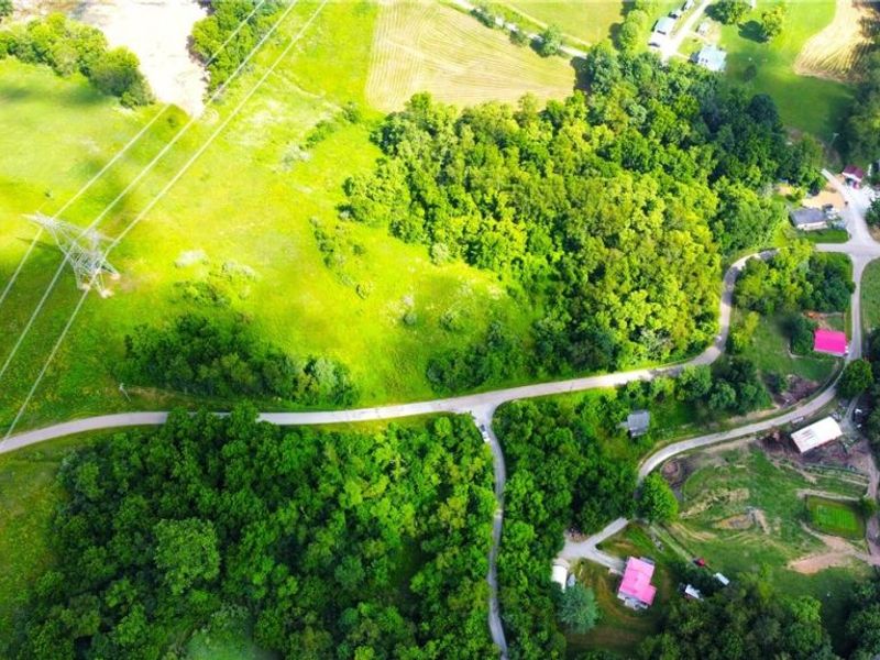 Township Road 135, Dillonvale, OH 43917 Photo 6