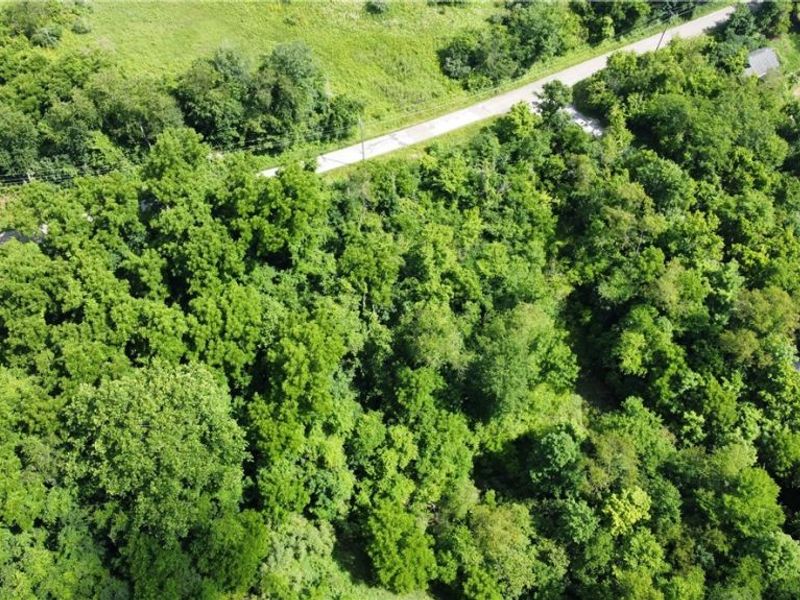 Township Road 135, Dillonvale, OH 43917 Photo 8