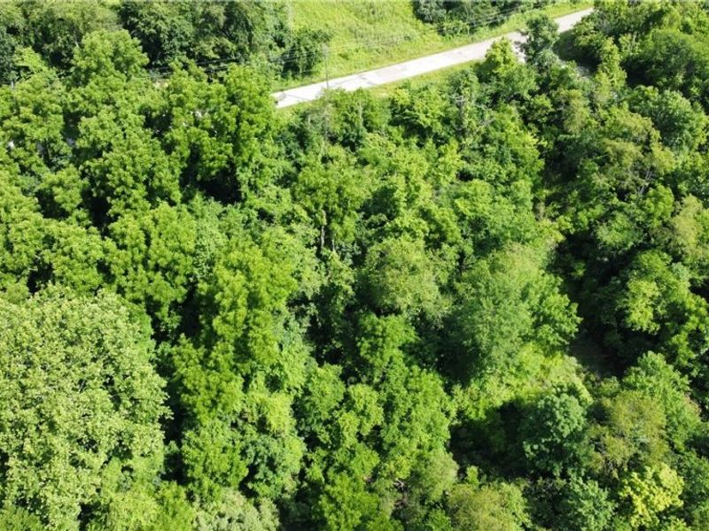 Township Road 135, Dillonvale, OH 43917 Photo 9