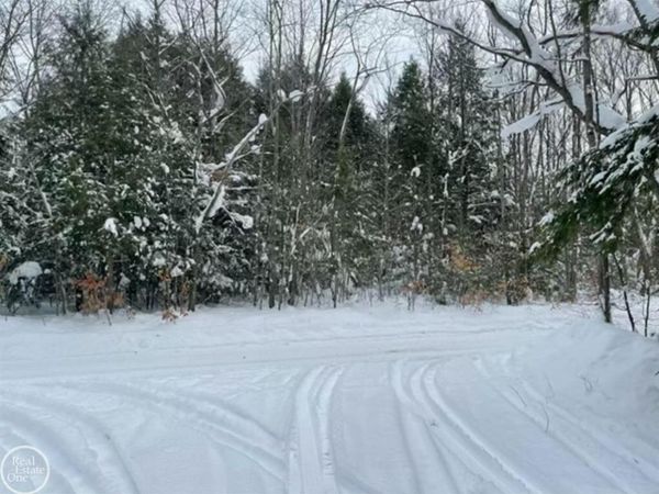 10 acres Kenyon Trail, Frederic, MI 49733