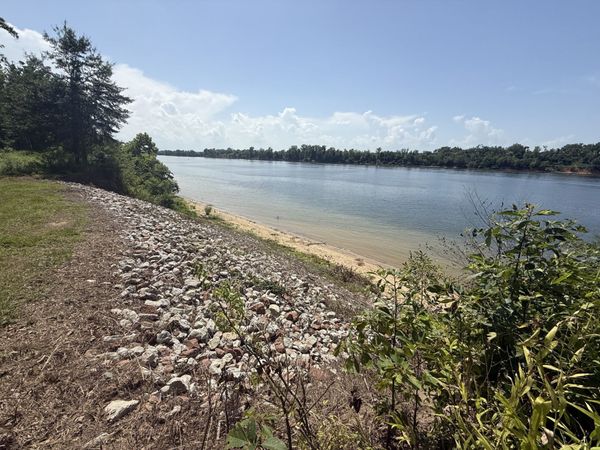 15 Caden Cv , Unit Lot 15, Savannah, TN 38372