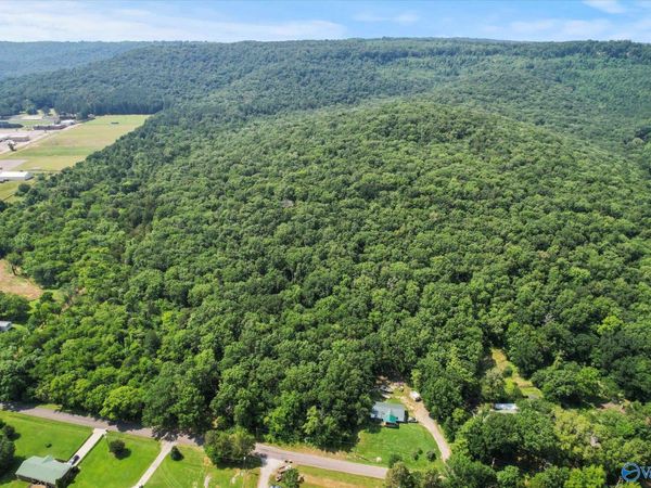 92 Acres All Jersey Road, Somerville, AL 35670