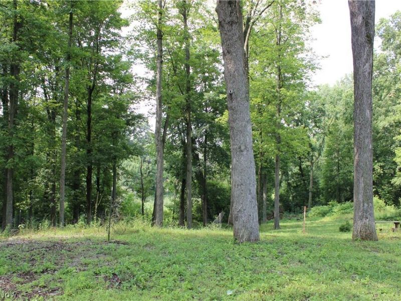 13893 County Road 100, Lakeville, OH 44638 Photo 26