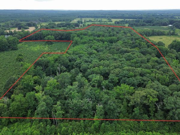 000 Sevier CR 279 / Greyland Rd. , Dierks, AR 71833