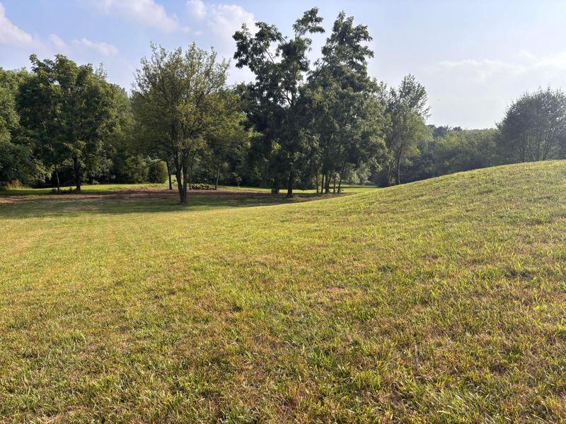7067 Hagerty Road, Ashville, OH 43103 Photo 4