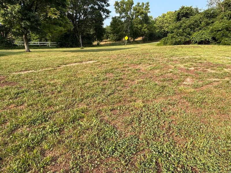 7067 Hagerty Road, Ashville, OH 43103 Photo 9