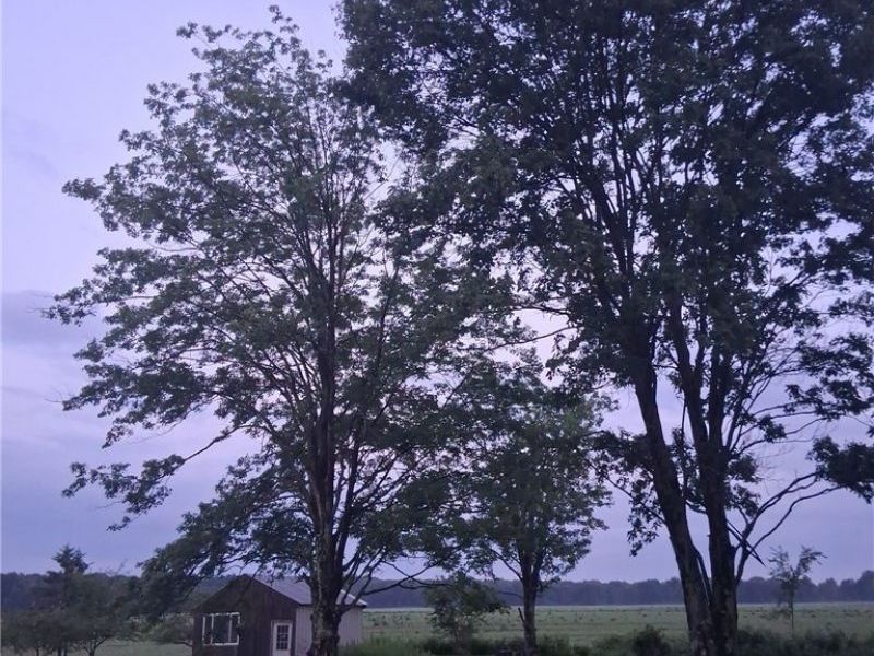 6874 Hammond Corners Road, Pierpont, OH 44082 Photo 11