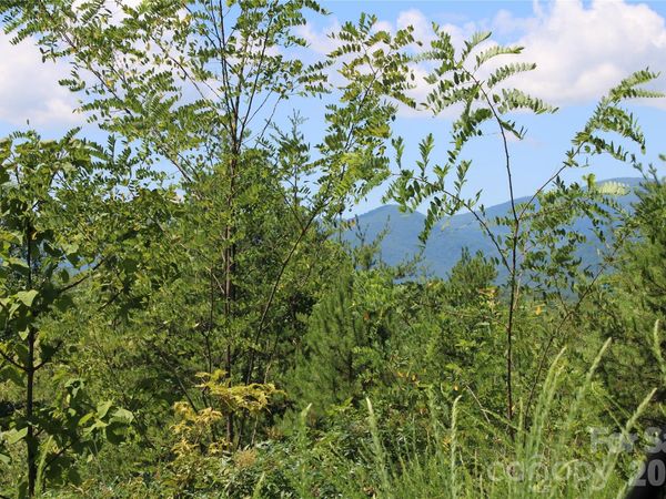 00 Sparrows Way , Lake Lure, NC 28746