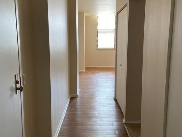 780 S FEDERAL Street , Unit 301, Chicago, IL 60605