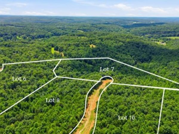 0 Pin Oak Ct , Unit 7, Waverly, TN 37185