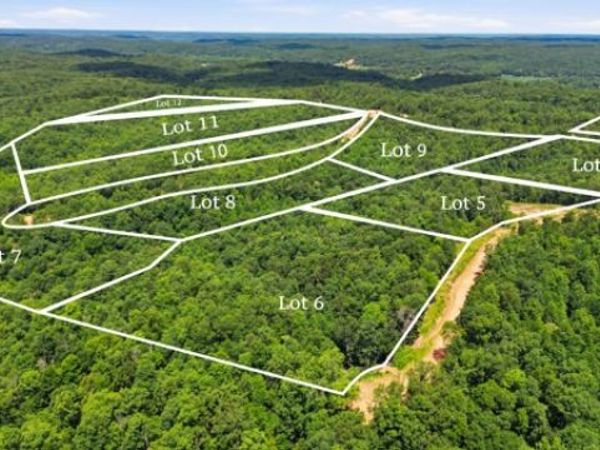 0 Poplar Point Ln , Unit 6, Waverly, TN 37185