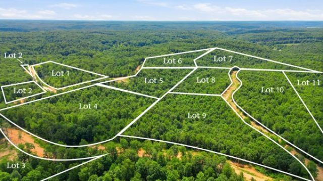 0 Poplar Point Ln , Lot #5, Waverly, TN 37185 Main Photo