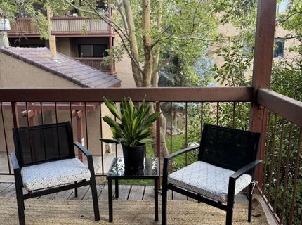2955 S Lakeside Drive, Unit 202, Reno, NV 89509 Photo