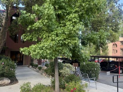 2955 S Lakeside Drive, Unit 202, Reno, NV 89509 Photo