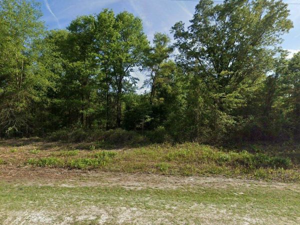 296 SW SCOUT GLN, Fort White, FL 32908