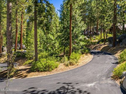 1 Tall Pines Cove Lane, Glenbrook, NV 89413 Photo