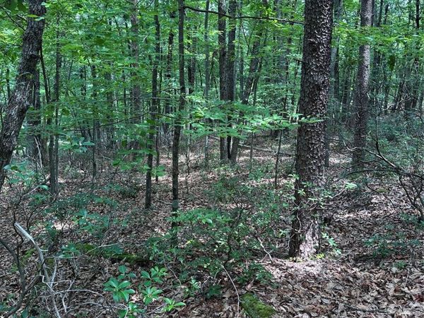 1070 Elm Street , Danbury, NC 27016