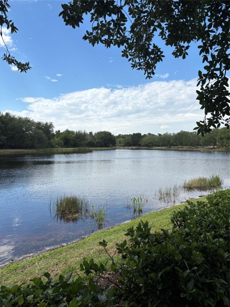 267 Petrel Trail, Bradenton, FL 34212 Photo