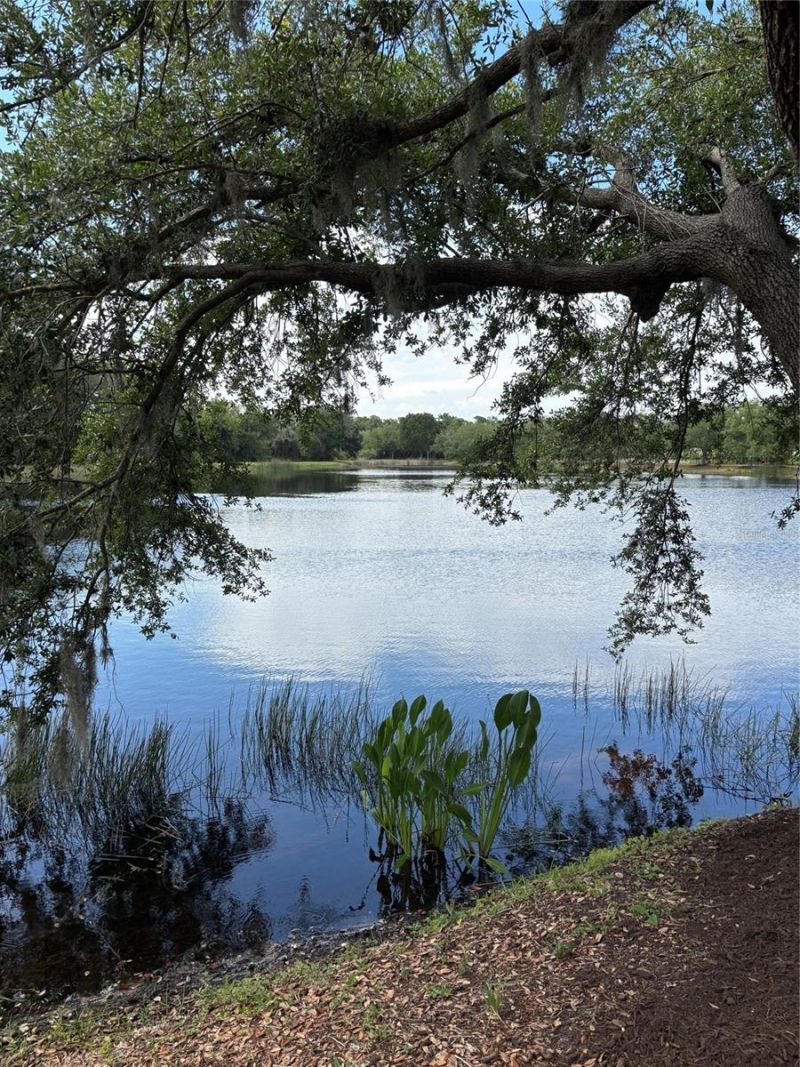 267 Petrel Trail, Bradenton, FL 34212 Photo