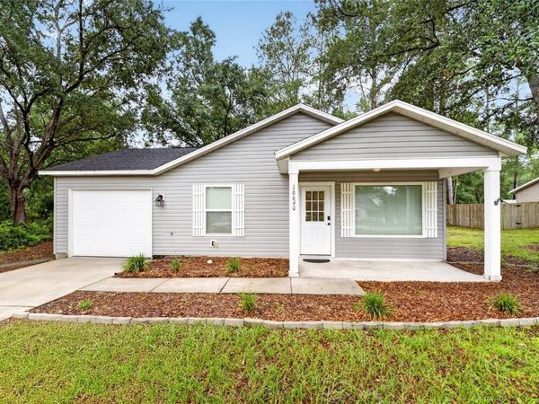 16640 SE 59TH PLACE , OCKLAWAHA, FL 32179