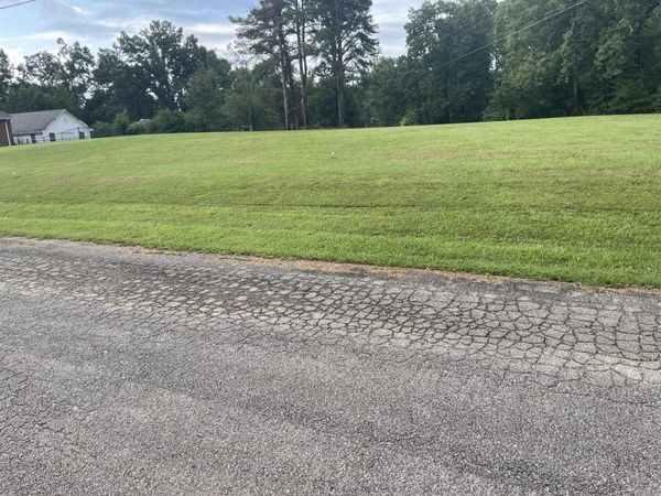 CANEY BRANCH RD, Adamsville, TN 38310