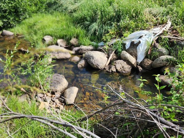 7900 County Road 41, Hamilton, CO 81638