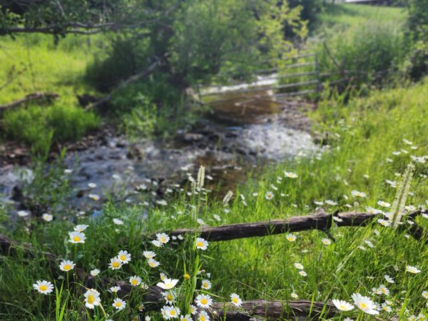 7900 County Road 41, Hamilton, CO 81638