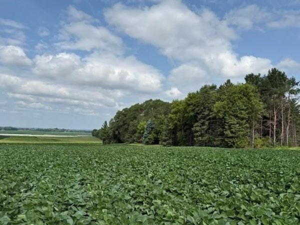 Lot B Lehigh Road , Cottage Grove, MN 55016
