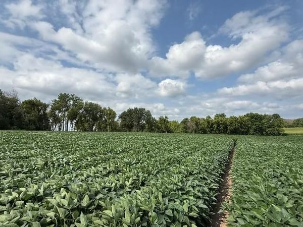 Lot A Lehigh Road , Cottage Grove, MN 55016
