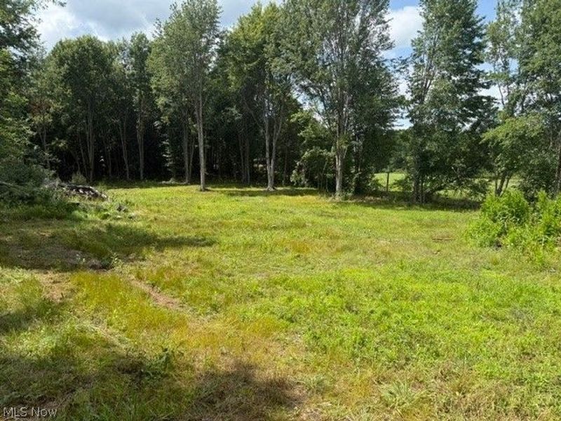 3281 Biltz Road, Kent, OH 44240 Photo 4