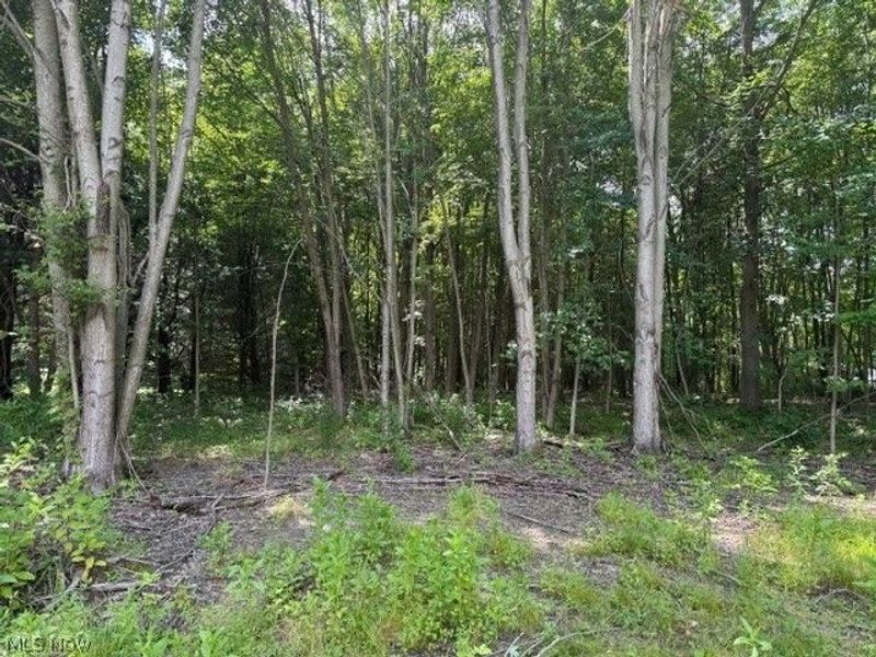 3281 Biltz Road, Kent, OH 44240 Photo 5