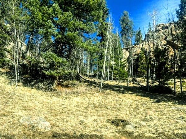 987 Eagle Rock Road , Florissant, CO 80816