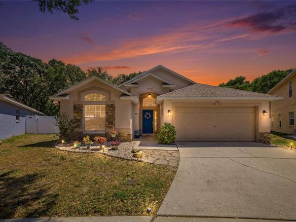 7113 COLONY POINTE DRIVE , RIVERVIEW, FL 33578