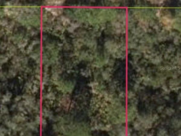 309 MOON GLOW AVENUE , LAKE PLACID, FL 33852